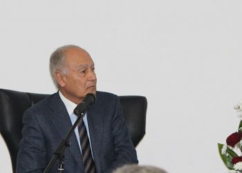 أبو الغيط يُدين التصعيد الحوثي ومهاجمة الأراضي السعودية