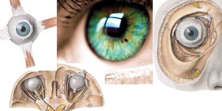 أنا عين عبد الله