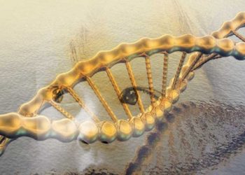 تهافت نظرية التطور