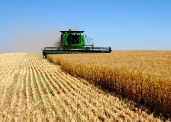 تركيا تحطم الرقم القياسي العالمي في واردات القمح