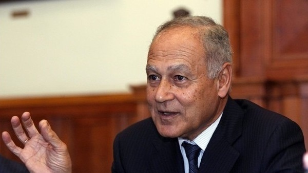 أبو الغيط يناقش مع المبعوث الأممي للسلام الوضع في فلسطين