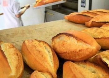 50 ألف عائلة يشترون خبز اليوم السابق في كوجالي غرب تركيا