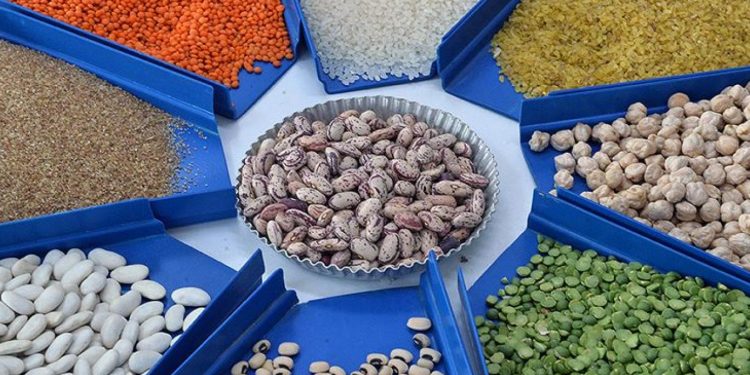 تركيا.. الواردات الزراعية تبلغ أعلى مستوياتها على الإطلاق