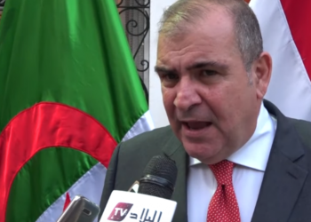 سفير مصري: على تركيا إخراج مرتزقتها من ليبيا