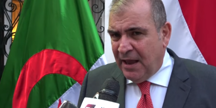 سفير مصري: على تركيا إخراج مرتزقتها من ليبيا