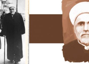 شيخ علماء الإسلام محمد زاهد الكوثري