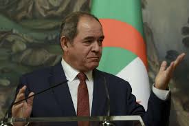 الاتحاد الإفريقي يرشح الجزائر لعضوية مجلس الأمن الدولي