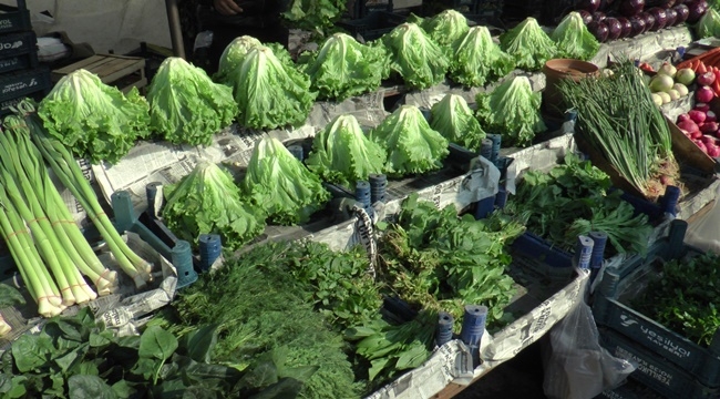 الخس يسجل أعلى زيادة في تركيا