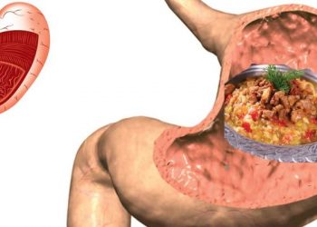 أنا معدة عبد الله