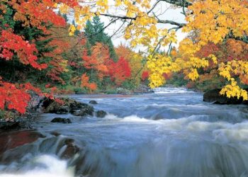 البيئة في القرآن الكريم