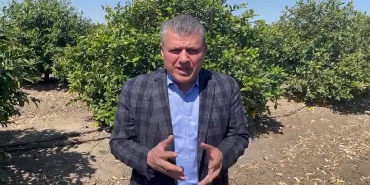 برلماني معارض: المٌزارع يعجز عن شراء السماد