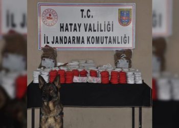 تركيا.. ضبط 82 كيلو جرام من المخدرات في سيارة شرطة