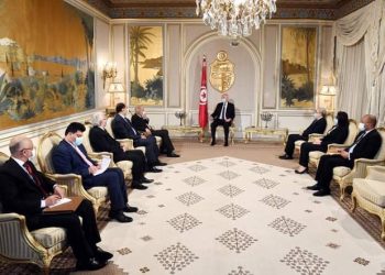 أبو الغيط يلتقي الرئيس التونسي في قصر قرطاج