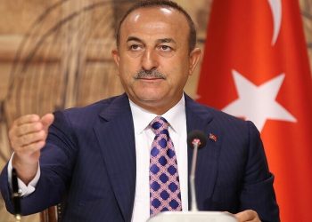 جاويش أوغلو يدعو روسيا لتقييم سلامة المنتجعات التركية في ضوء فيروس كورونا