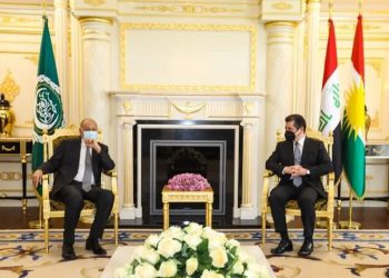 أبو الغيط: الجامعة العربية تدعم العلاقات العربية مع كردستان