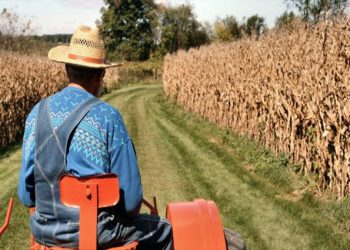 برلماني: 2 مليون مزارع بمستنقع الديون في تركيا