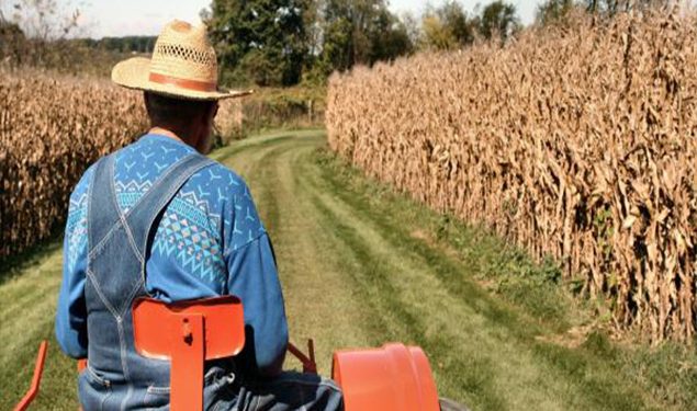 برلماني: 2 مليون مزارع بمستنقع الديون في تركيا