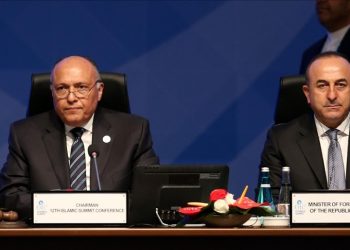 وزير خارجية تركيا يهنئ نظيره المصري