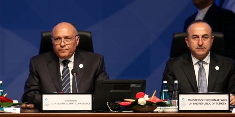 وزير خارجية تركيا يهنئ نظيره المصري