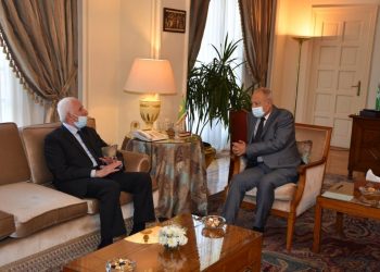 أبو الغيط: التصعيد الأخير ضد الفلسطينيين كشف وجه إسرائيل الحقيقي