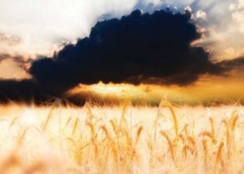 السنن الإلهية في المنظومة الكونية