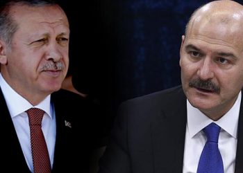 صحفي: أردوغان قد يقيل وزير الداخلية بأي لحظة
