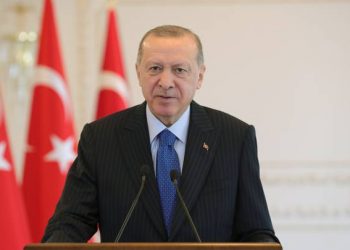 أردوغان يطلب 250 ألف ليرة تعويضًا من برلماني معارض