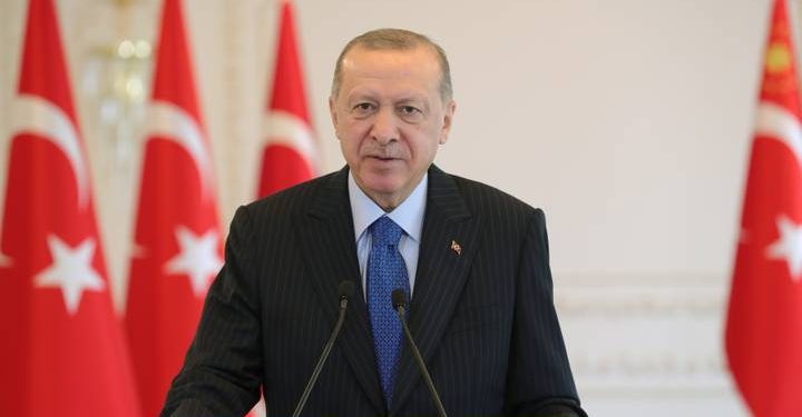 أردوغان يطلب 250 ألف ليرة تعويضًا من برلماني معارض