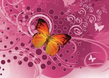 بالقرآن تسعد القلوب وتأنس النفوس