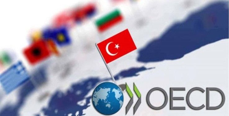 تركيا ضمن الدول الأكثر بطالة بمنظمة التعاون الاقتصادي