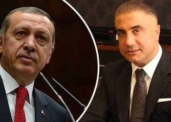 كيف يتصدى أردوغان لاتهامات زعيم المافيا؟