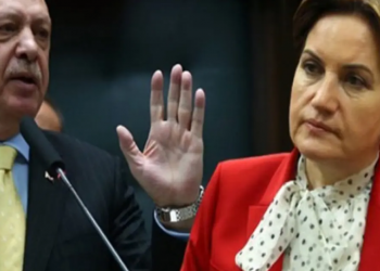 أردوغان يرفع دعوى قضائية ضد المرأة الحديدية بسبب إسرائيل