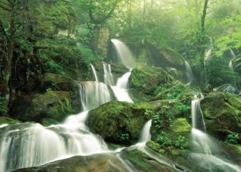 مفهوم الحياة في القرآن الكريم