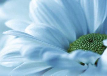 العلم والإيمان متعة العقل والروح