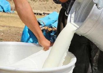 ارتفاع سعر الحليب في تركيا