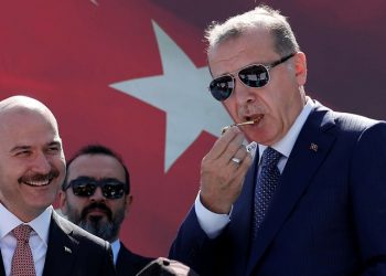 هل ينتظر أردوغان الوقت المناسب للتخلص من وزير الداخلية؟