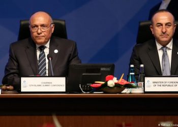 سامح شكري: سعي تركيا لتحسين العلاقات مع مصر مثير للإعجاب