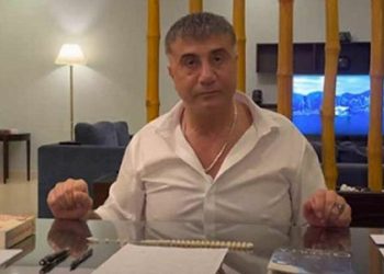 هل تم اعتقال زعيم المافيا التركي سادات بكر؟