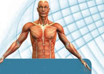 الجهاز العضلي يتكلم