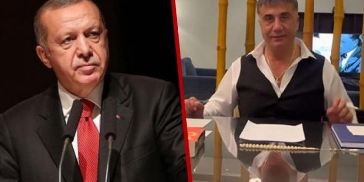 كاتب تركي: أردوغان أصدر تعليمات بخصوص اتهامات زعيم المافيا
