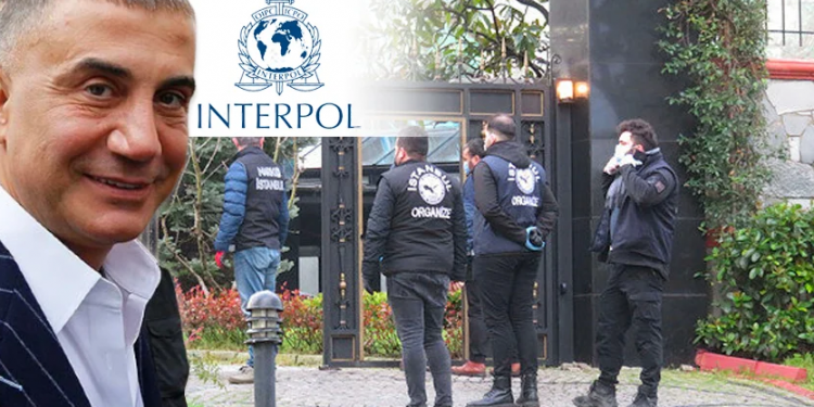 صحفي تركي: ملف سادات بكر أمام الإنتربول الدولي