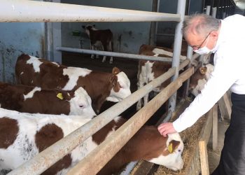 ارتفاع أسعار السماد والأعلاف 100% في تركيا