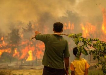 تركيا تحترق.. عدد الغابات المشتعلة والطائرات المشاركة في الإطفاء