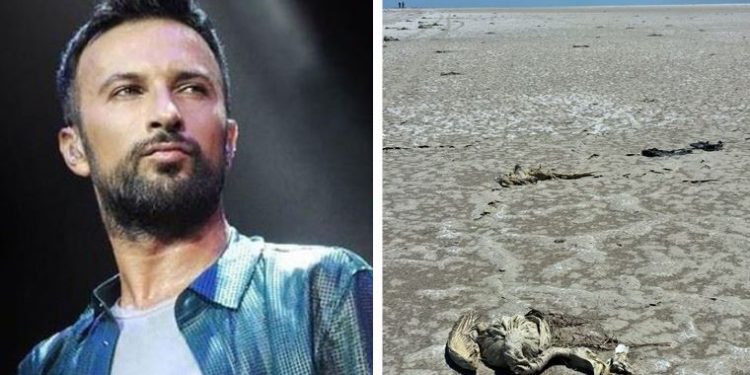 نجم البوب التركي يندد بمذبخة الفلامينجو