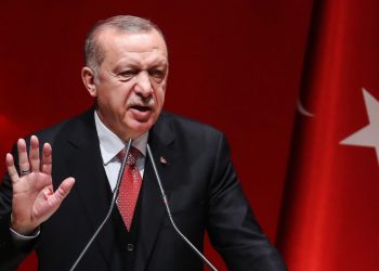 أردوغان بقائمة أعداء حرية الصحافة