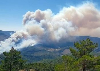 5 ولايات تركية تندلع في غاباتها حرائق ضخمة