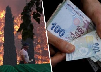 تركيا: أين ذهبت 193 مليون ليرة مخصصة لحرائق الغابات؟