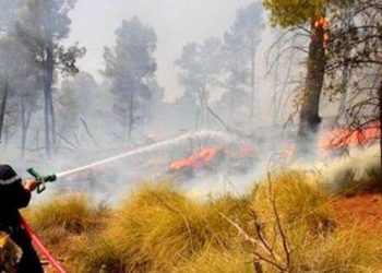 الجزائر تنجح في إخماد حريق غابة بوسكيكن