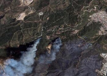 صور تكشف حجم الدمار في غابات تركيا بفعل الحرائق