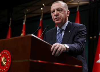 استطلاع رأي: 51% من الأتراك غير راضين عن أداء أردوغان